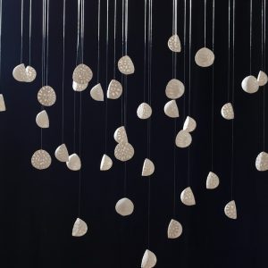 5.water_seeds