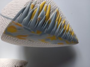 OBJECTS OF S 4