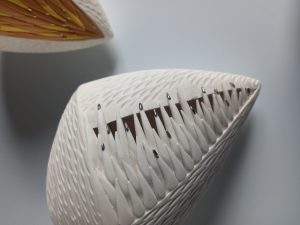OBJECTS OF S 5